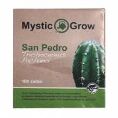 San Pedro Pachanoi Cactus Seeds 100 seeds