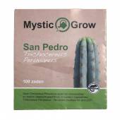 San Pedro Peruvianus Cactus Seeds 100 seeds