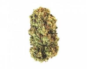 Compromise CBD v2 (Amsterdam Genetics) feminized