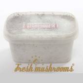 Ecuador Mini Freshmushrooms grow kit