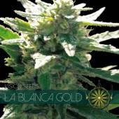 La Blanca Gold 5 seeds