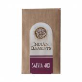 Salvia Indian Elements - 40x