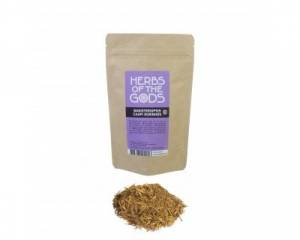 Banisteriopsis caapi