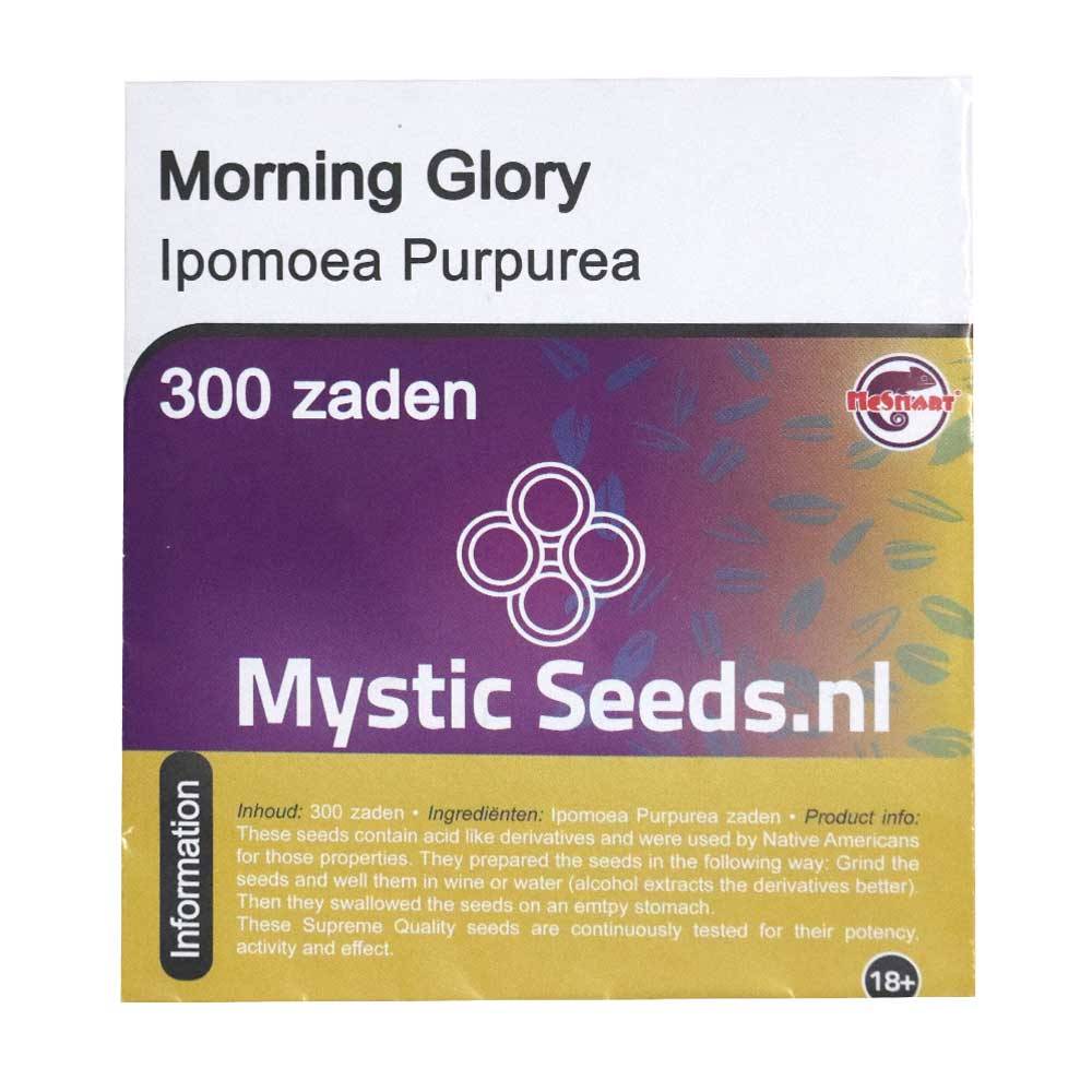 Morning Glory Seeds DutchSmartshops