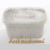 McKennaii Mini | Freshmushrooms grow kit