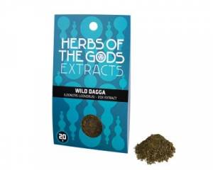 Wild dagga (Leonotis leonurus) extract 20x