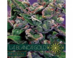La Blanca Gold Auto (Vision Seeds) feminized