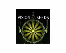 AK-49 Auto (Vision Seeds) feminized