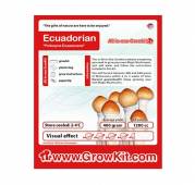 Ecuadorian Magic Mushroom Paddo Grow Kit Medium 1200 cc