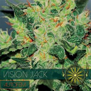 Auto Vision Jack 5 seeds