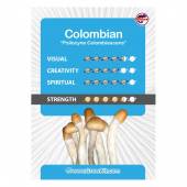 Colombian Magic Mushroom Grow Kit Large 2100cc