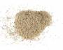 Opium Poppy (Papaver somniferum) seeds