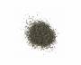 Opium Poppy (Papaver somniferum) seeds