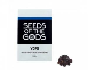 Yopo (Anadenanthera peregrina) seeds