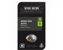 Sensi #119 Blueberry x Skunk #1 Auto (Sensi Research)
