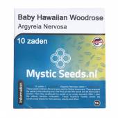Baby Hawaiian Woodrose Seeds