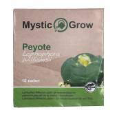 Peyote Cactus Seeds 10 seeds