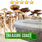 Treasure Coast Magic Mushroom Grow set - 1200cc