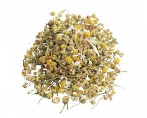 Camomile (Matricaria chamomilla) flowers