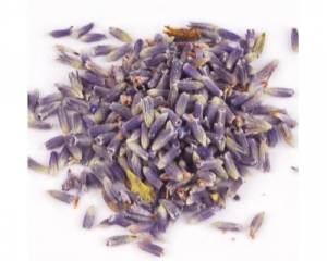 Lavender (Lavandula angustifolia)