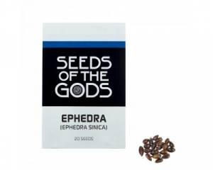 Ephedra (Ephedra sinica) seeds