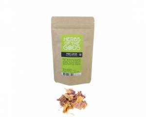 Pink lotus (Nelumbo nucifera)