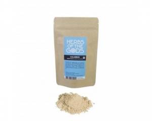 Sweet flag (Acorus calamus)