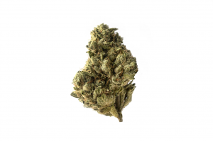 Strawberry Glue 10 Seeds (€62.50)