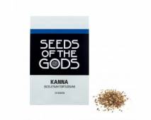 Kanna (Sceletium tortuosum) seeds