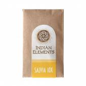 Salvia Indian Elements - 10x