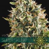 Super Skunk 5 seeds
