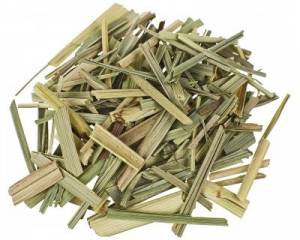 Lemongrass (Cymbopogon citratus)