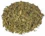 Kratom Malaysia (Mitragyna speciosa)