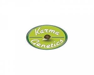 Sour Leda (Karma Genetics) regular