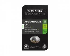 Afghan Pearl CBD Auto (Sensi Research)