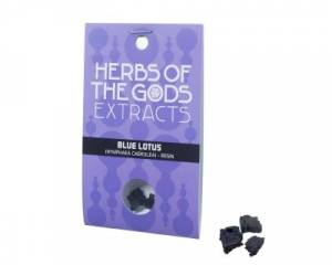 Blue Lotus (Nymphaea caerulea) resin 20x