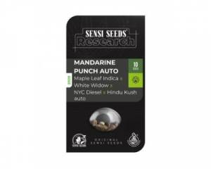 Mandarine Punch Auto (Sensi Research)