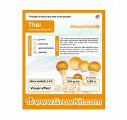Thai Magic Mushroom Grow Kit Medium 1200cc