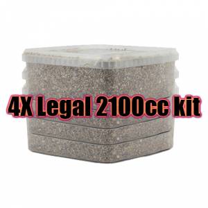 4 X Sterilised substrate kit XL 2100cc - Legal in each country