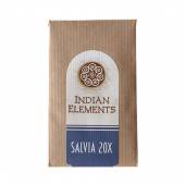 Salvia Indian Elements - 20x