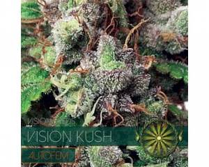 Vision Kush Auto (Vision Seeds) feminized