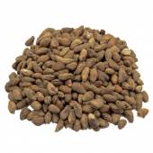 Voacanga Africana seeds (10 grams)