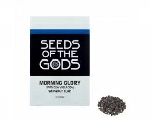 Morning Glory (Ipomoea tricolor) seeds
