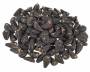 Morning Glory (Ipomoea tricolor) seeds