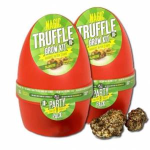 2X Growkit Pajaritos Magic Truffle – BUY 1 GET 1 FREE