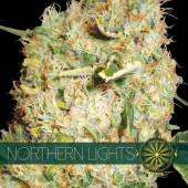 Northern Lights 5 seeds