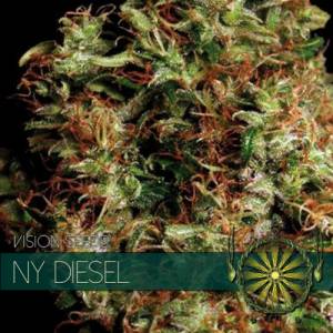 NY Diesel 3 seeds