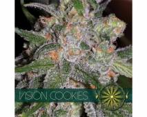 Vision Cookies (Vision Seeds) feminized