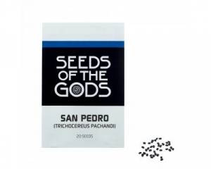 San Pedro (Echinopsis pachanoi) seeds