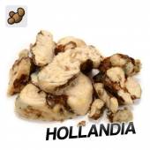 Psilocybe Hollandia Truffles (15 grams)